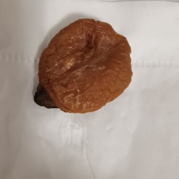鸡宝