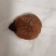 鸡宝