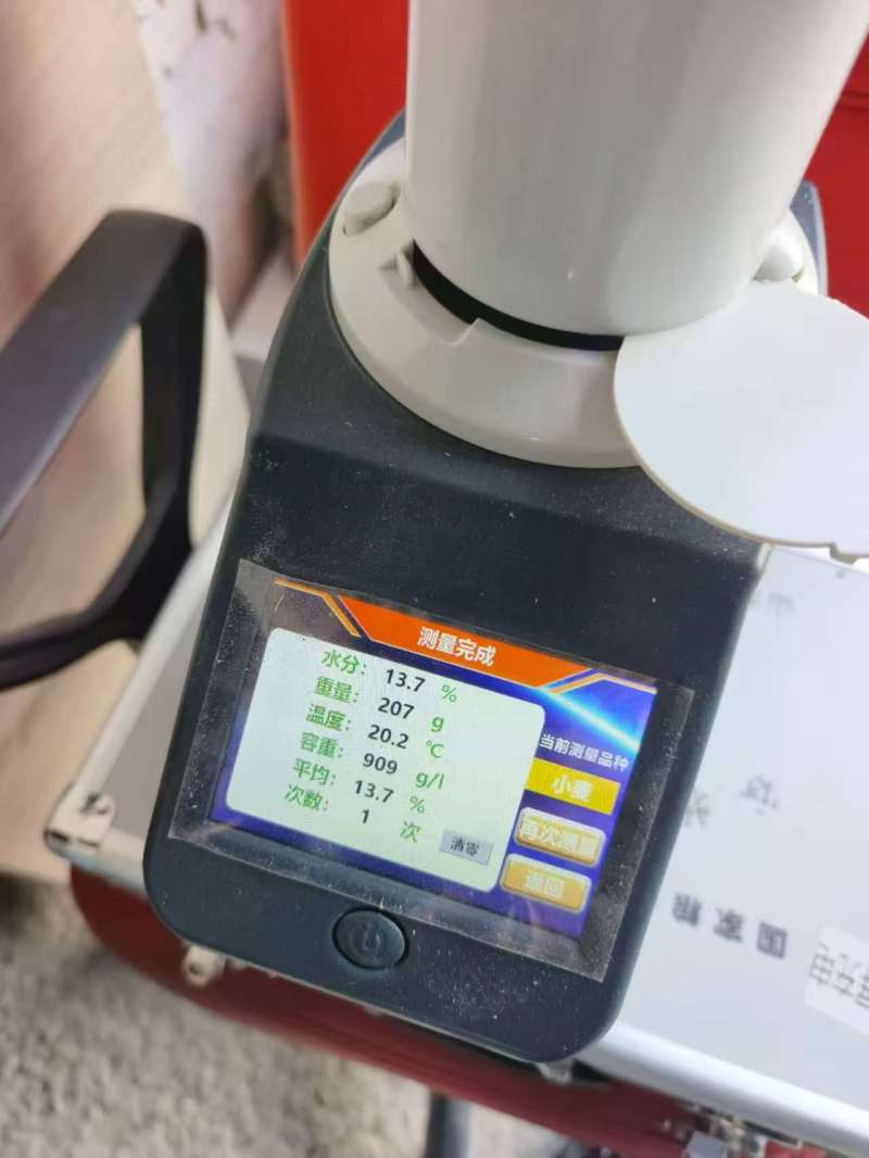 小麦小麦粉精品养殖小麦粉无土无霉变适合肉鸡牲畜大量供应