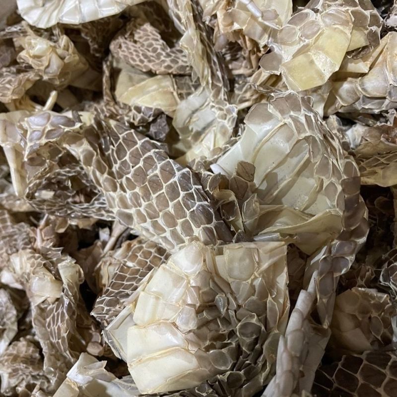 厂家中药材蛇蜕整条蛇皮蛇蜕包邮长度可选择有头有尾