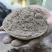 种菜用的草木灰正宗农家纯秸秆肥料植物专用有机营养土稻草