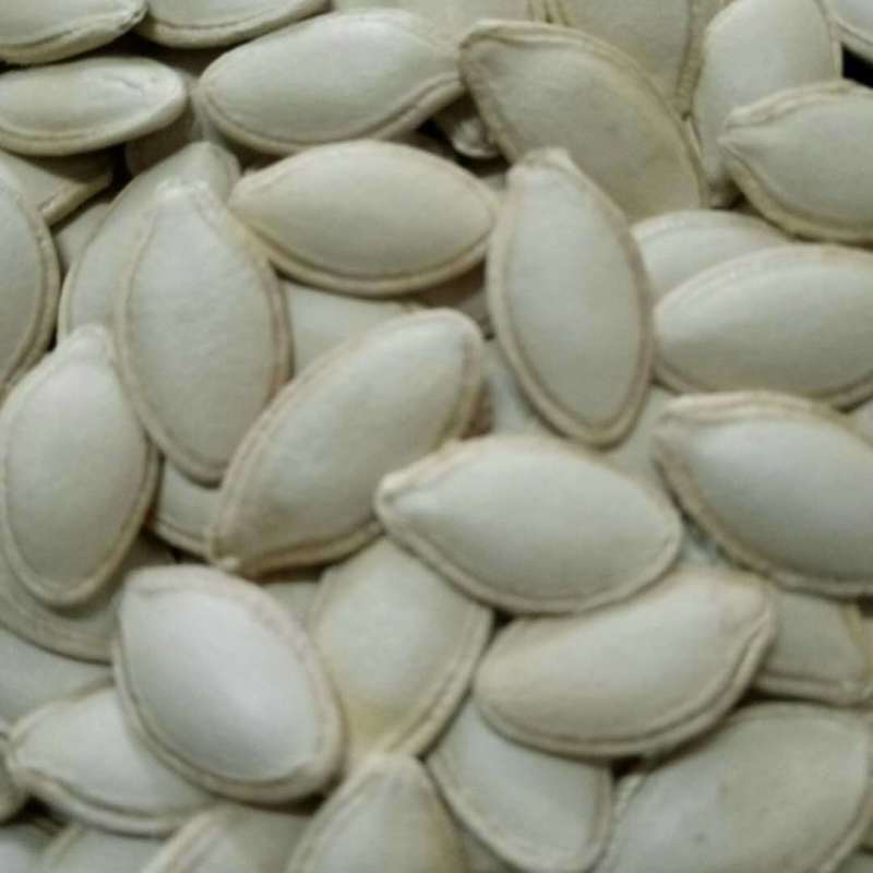 厂家中药材南瓜子半白南瓜籽南瓜种子生南瓜子无硫高