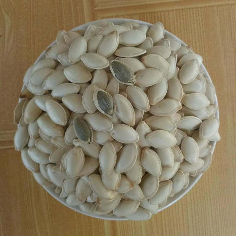 厂家中药材南瓜子半白南瓜籽南瓜种子生南瓜子无硫高