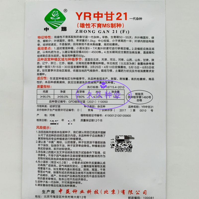 YR中甘21甘蓝种子春播早熟耐抽苔亮绿圆球抗枯萎病甘蓝