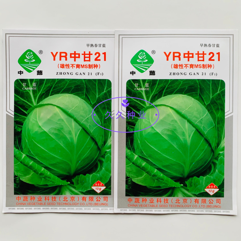 YR中甘21甘蓝种子春播早熟耐抽苔亮绿圆球抗枯萎病甘蓝
