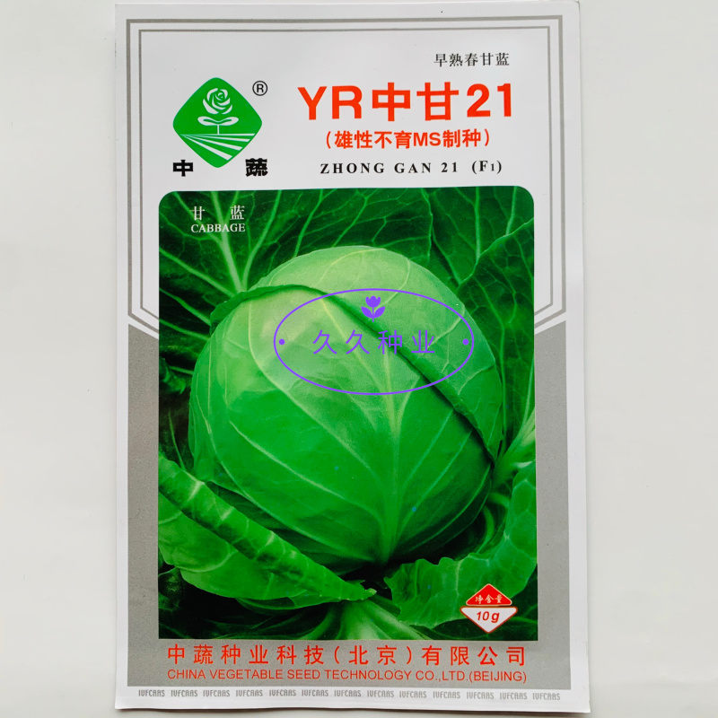 YR中甘21甘蓝种子春播早熟耐抽苔亮绿圆球抗枯萎病甘蓝