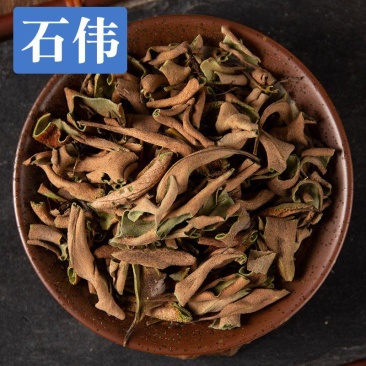 中药材石苇石伟石韦石皮金星草石兰石剑石背柳精选新