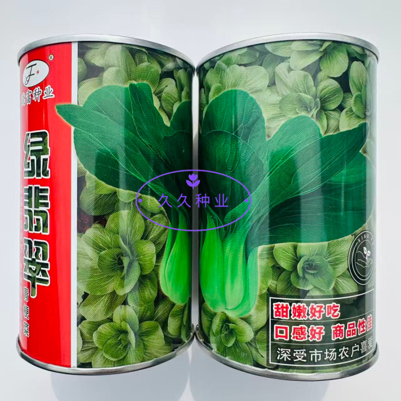 晓富绿翡翠青梗菜种子四季播速生高产大田基地用种青菜种籽