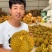 金枕榴莲一手批发价格