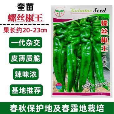 奎苗螺丝椒王辣椒种子皮薄香辣螺丝椒种子牛角型辣椒辣味浓
