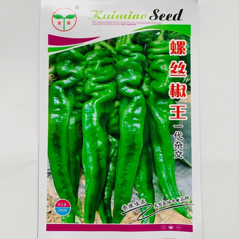 奎苗螺丝椒王辣椒种子皮薄香辣螺丝椒种子牛角型辣椒辣味浓