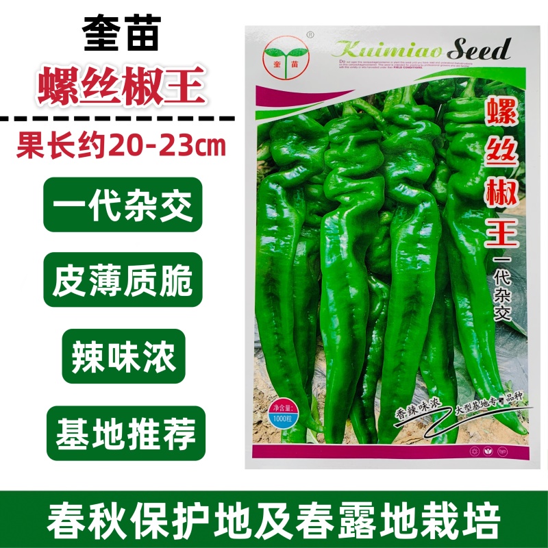 奎苗螺丝椒王辣椒种子皮薄香辣螺丝椒种子牛角型辣椒辣味浓