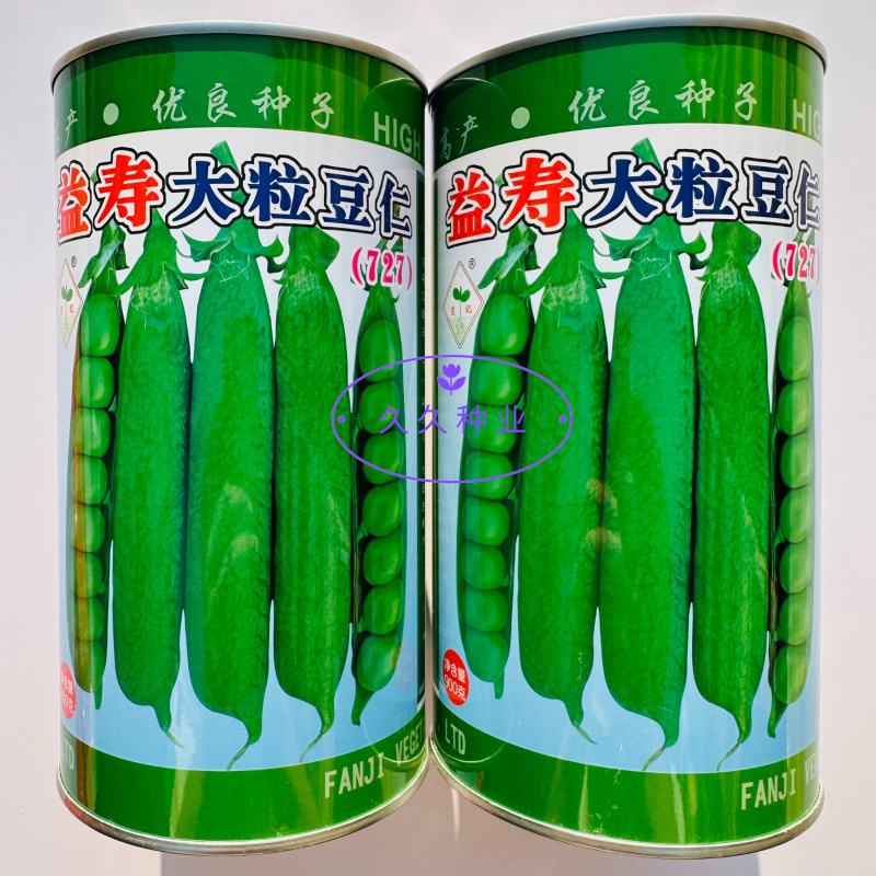 范记益寿大粒豆仁727豌豆种子大粒糖度高单荚高产