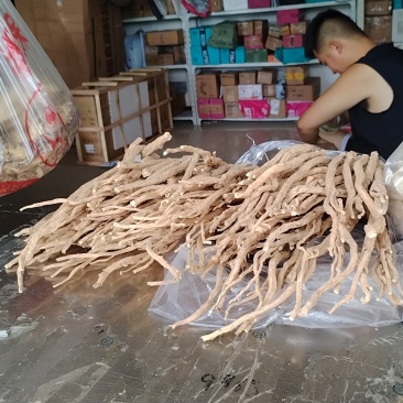 岷县黄芪当归党参