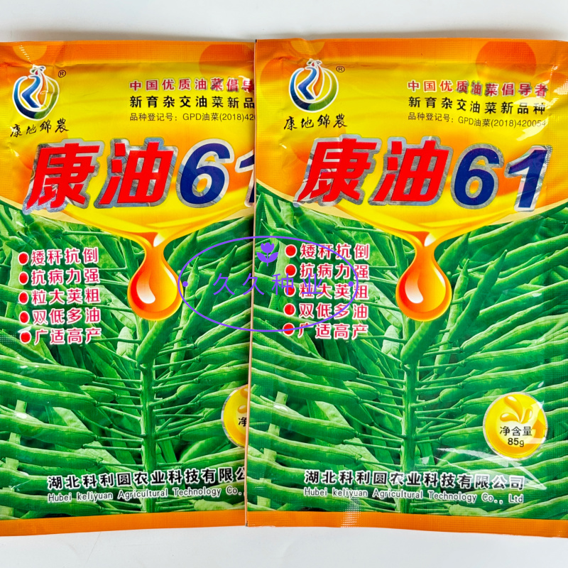 康油61油菜种子秋播矮杆抗倒甘蓝型雄性不育两系杂交油菜