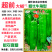 超前大椒辣椒种子早熟大果粗长牛角椒种子高产抗病肉厚青椒种