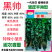 同乐黑帅皱皱皮辣椒种子早熟薄皮香辣黑皱皮辣椒种子高产优质