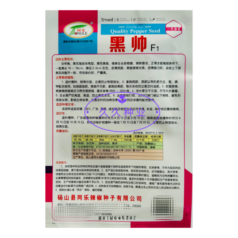 同乐黑帅皱皱皮辣椒种子早熟薄皮香辣黑皱皮辣椒种子高产优质