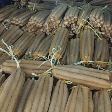 土包双棒大货，打捆货，商超批发对接全国客商