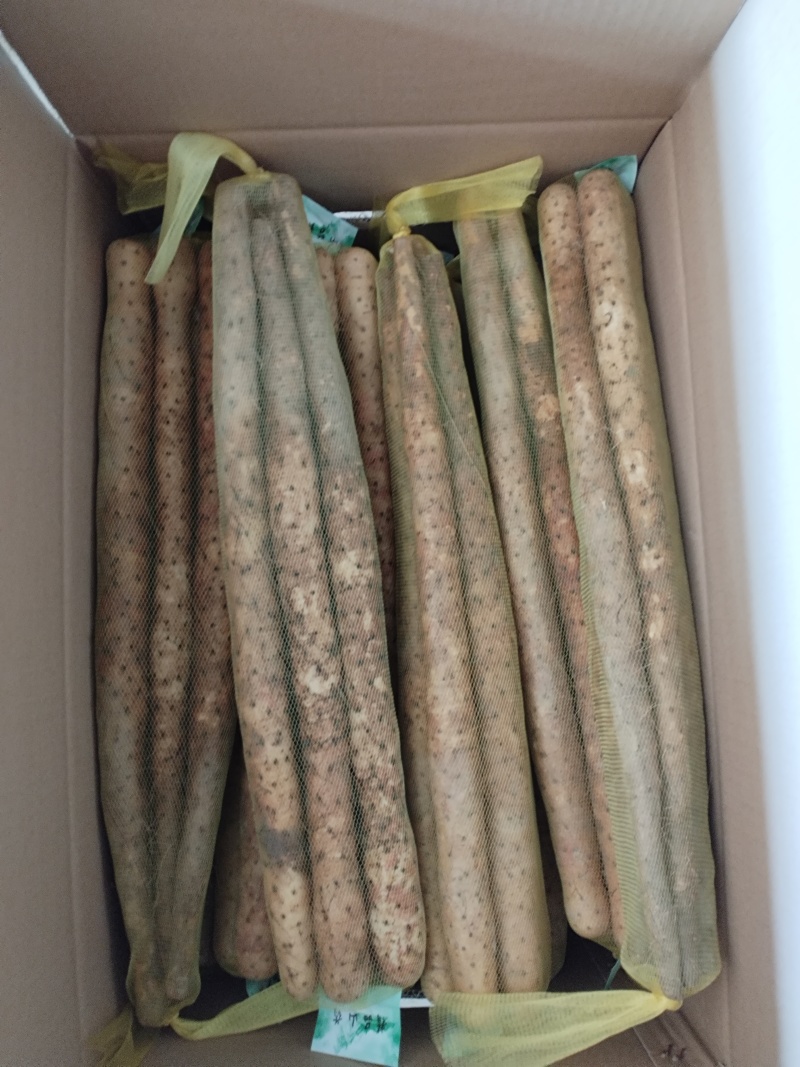 土包双棒大货，打捆货，商超批发对接全国客商