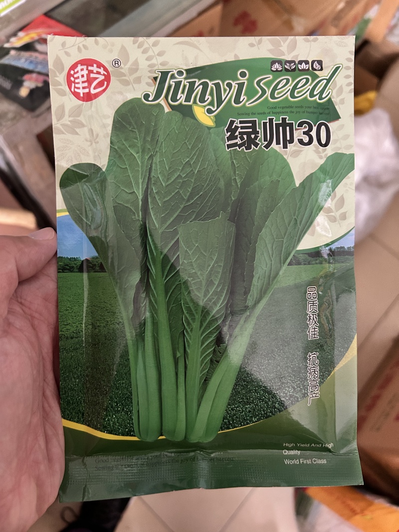 正旺达88小白菜种子青梗小白菜绿帮20天以上可以采收速生