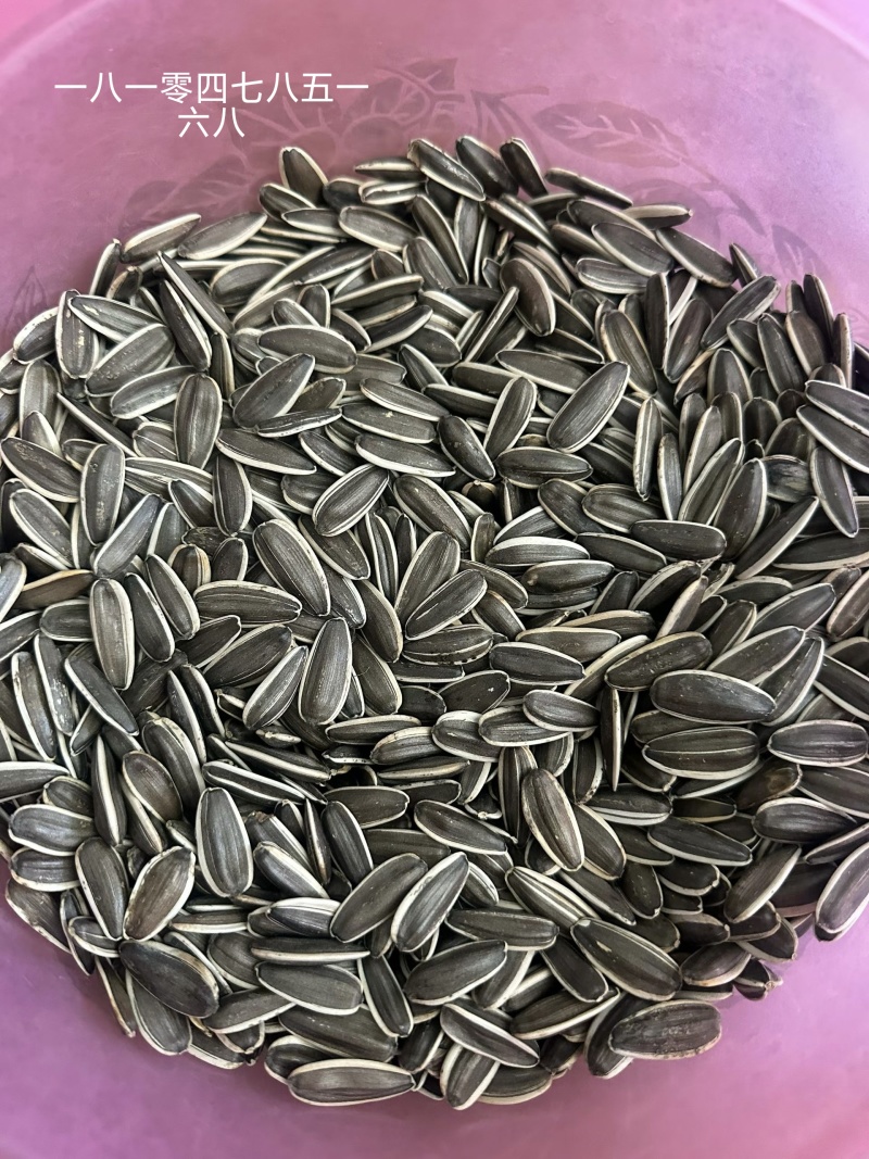 新货巴盟葵花籽361.2399.同庆6.
