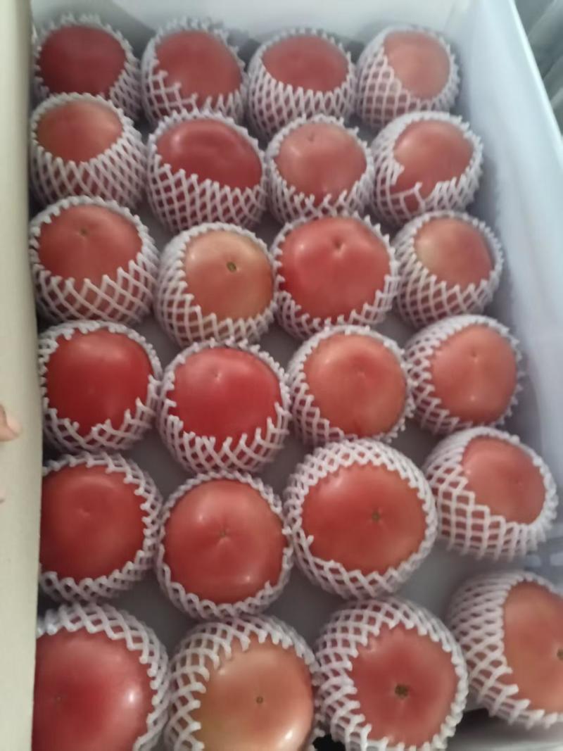硬粉，大口感西红柿火爆热卖中