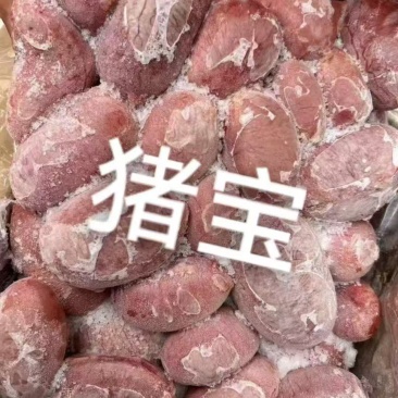 猪宝
