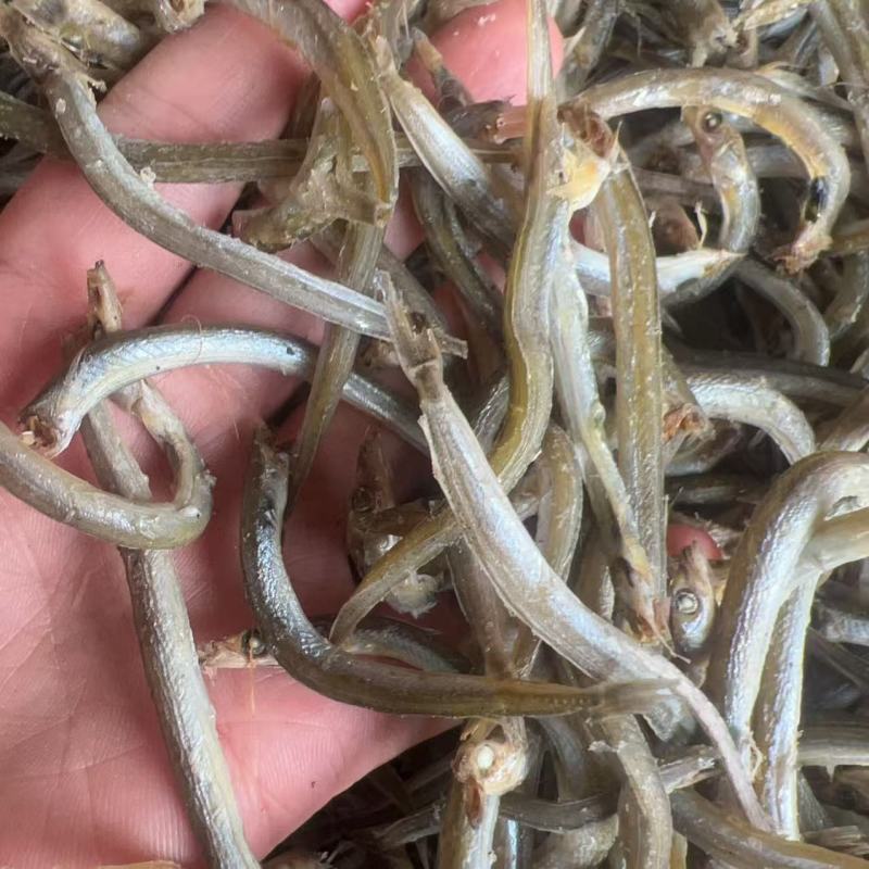 淡干熟银针鱼展会地摊淡干熟小银鱼银针鱼银鱼小鱼干干鱼
