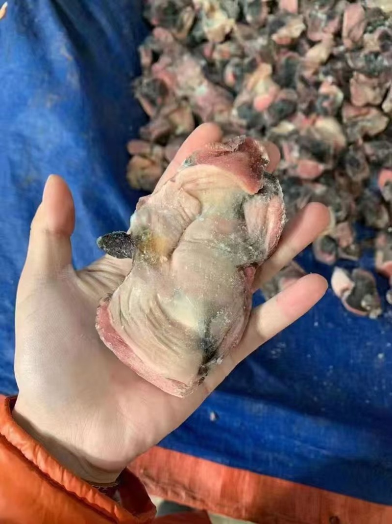 单冻乌鸡净胗