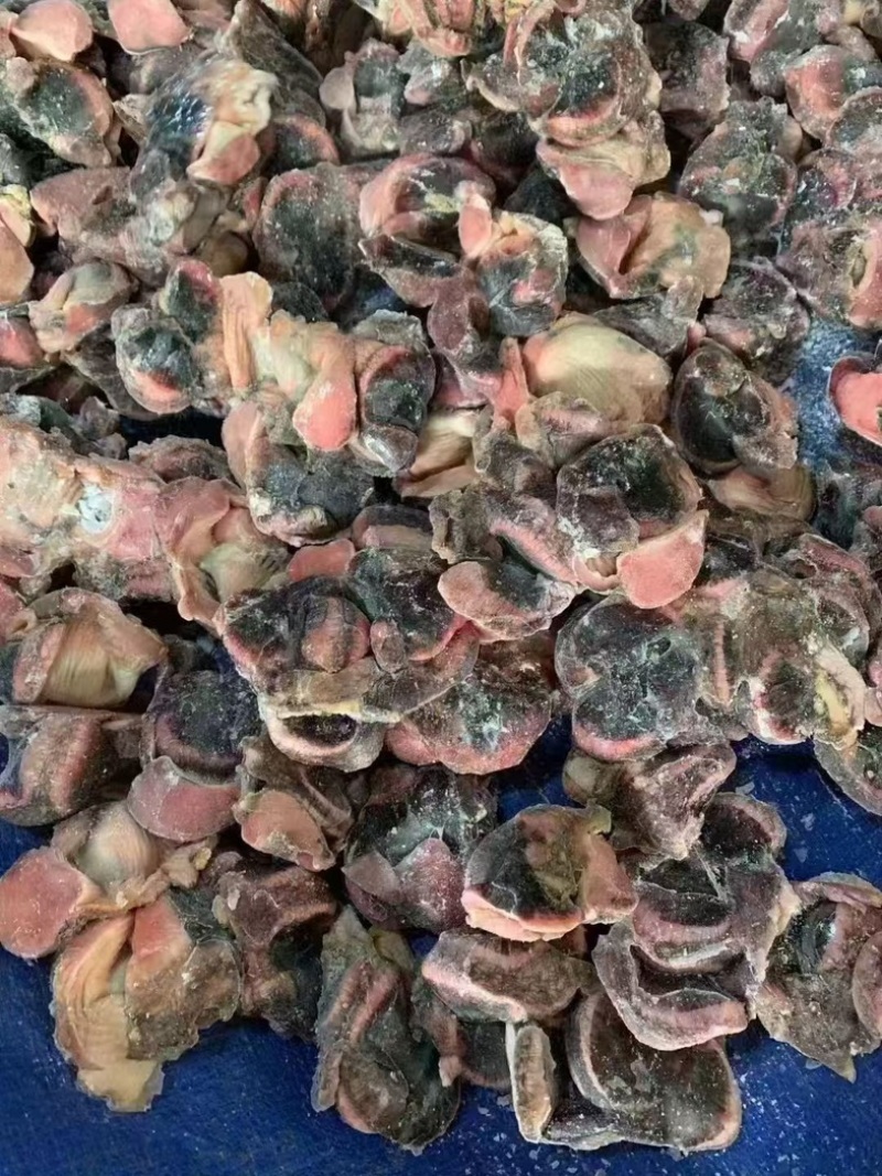单冻乌鸡净胗