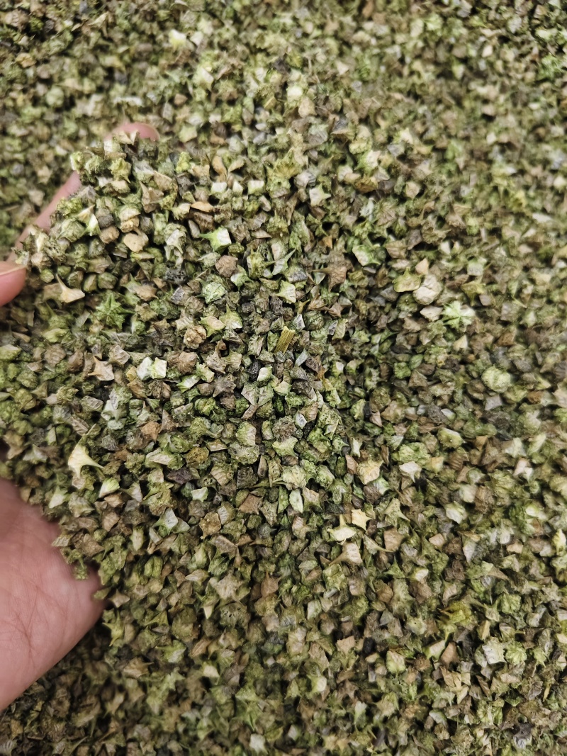 蒺藜新货白蒺藜干净无杂质批发零售