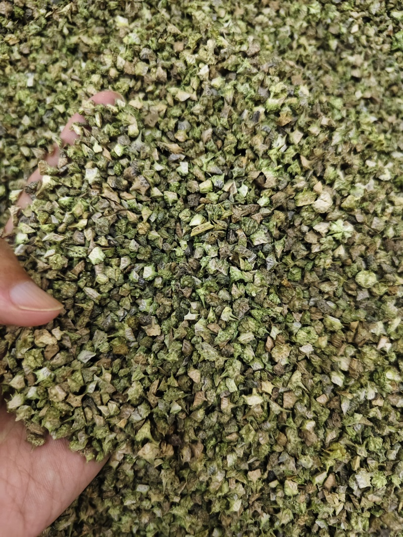 蒺藜新货白蒺藜干净无杂质批发零售