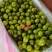 山东精品圣女果基地现货现摘现发全国发货