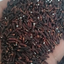 自家种的黑糯米