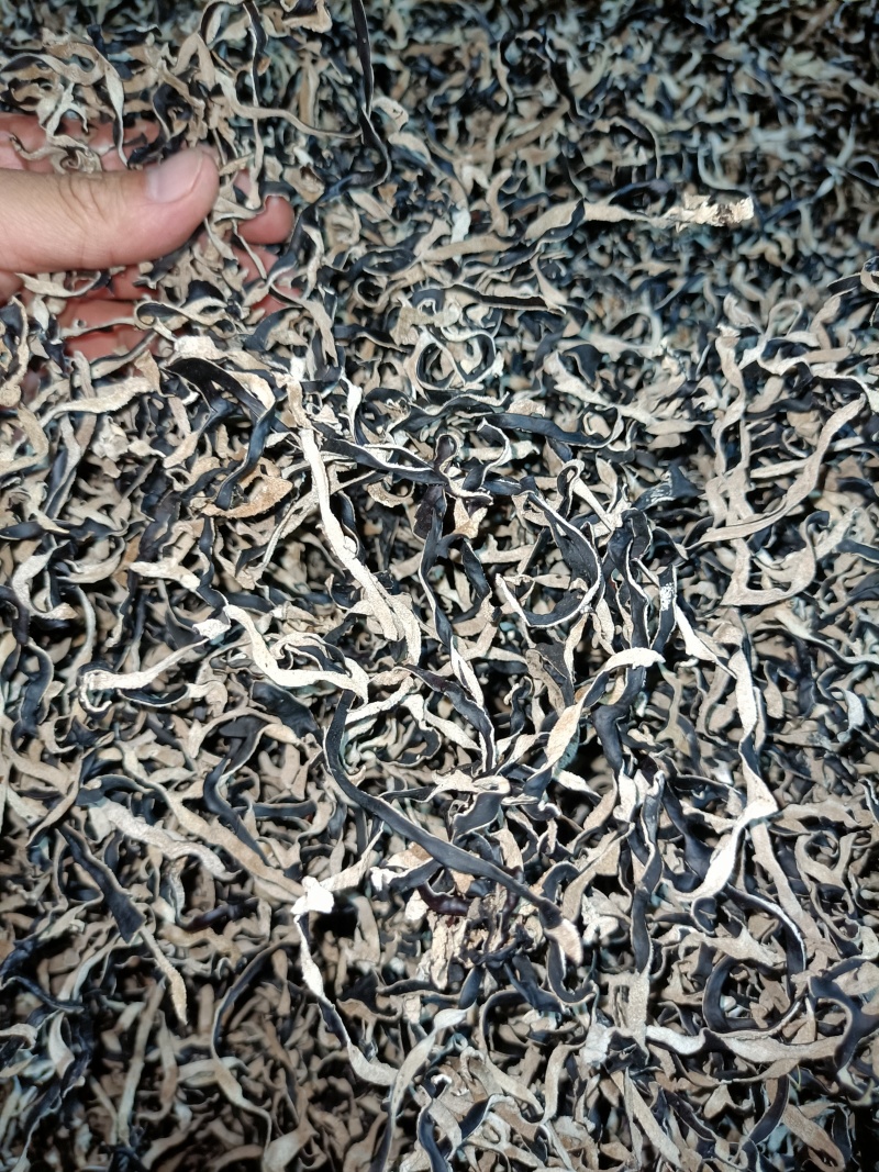 木耳丝电商木耳丝优质干品木耳丝一级品无根木耳丝干品木耳丝