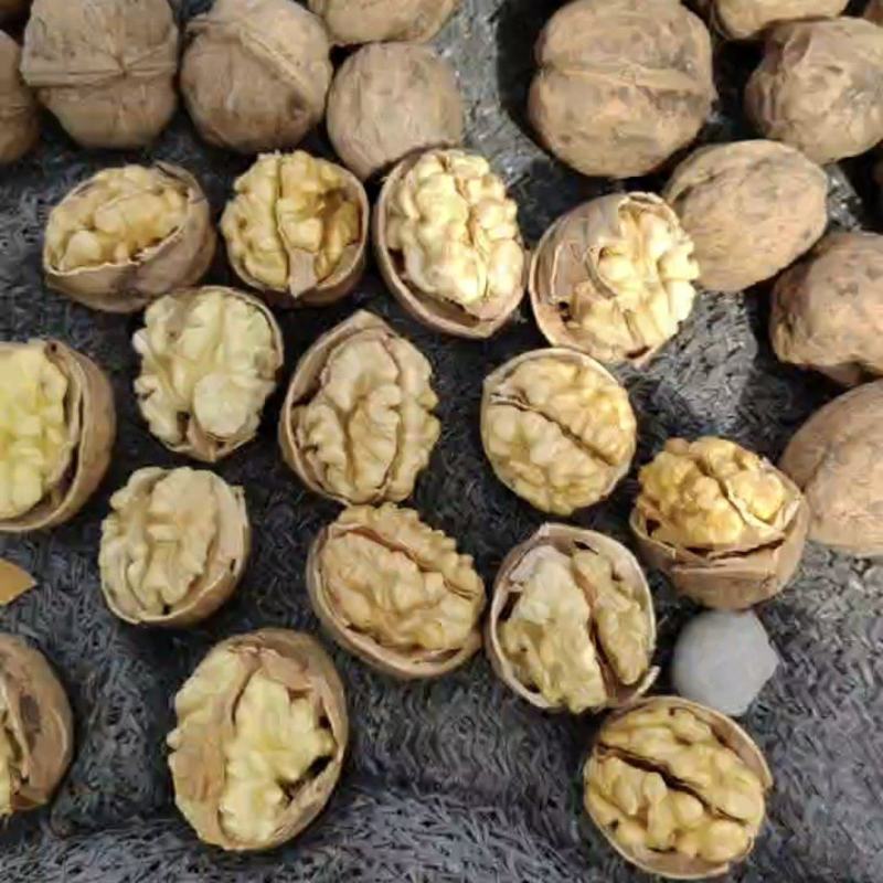 核桃