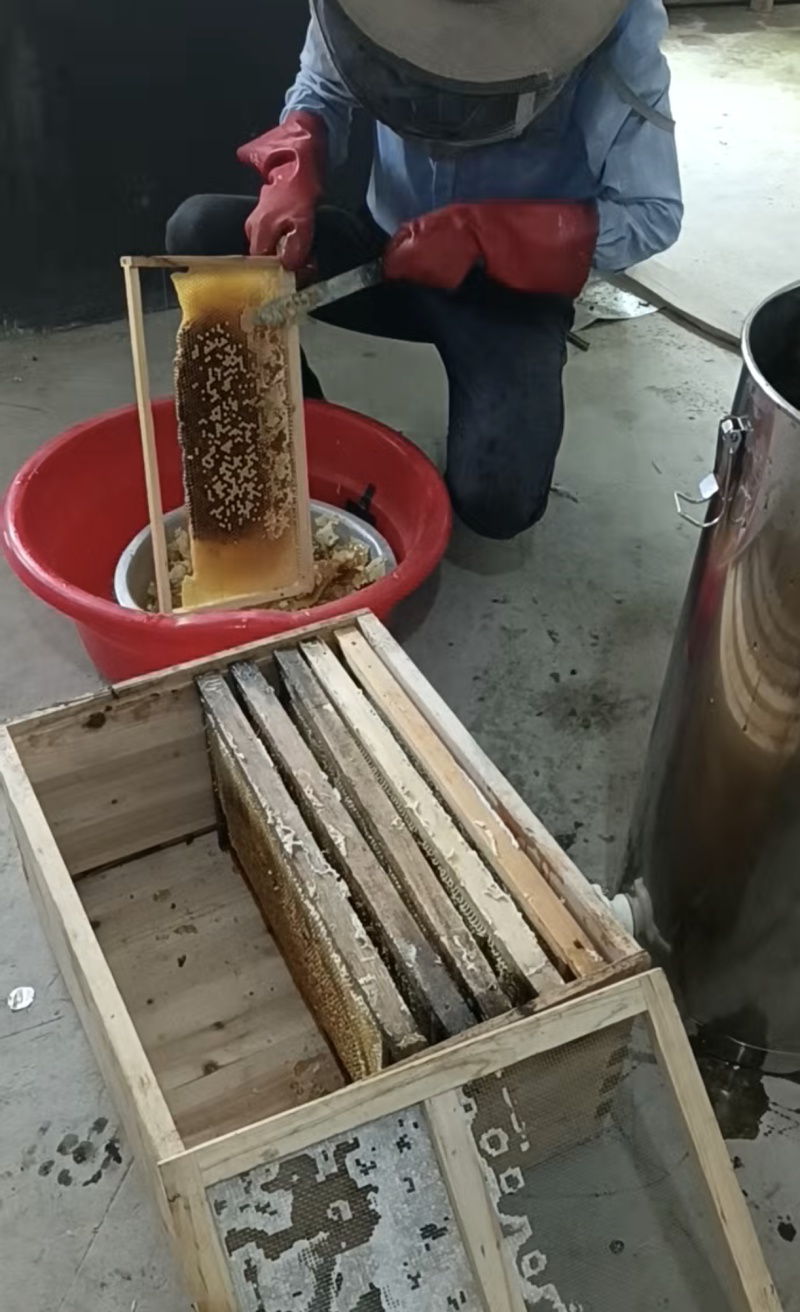 农家土蜂蜜