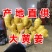 大黄姜批发山东生姜产地小黄姜种地窖储存