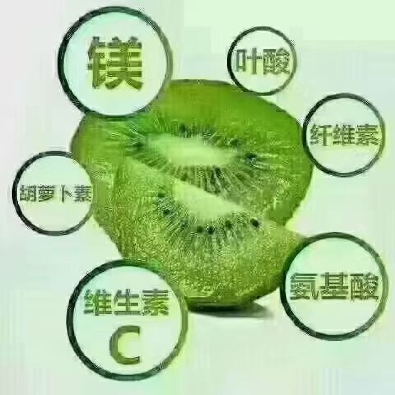 周至翠香猕猴桃成熟了，需要了联系
