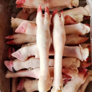 白羊蹄肉质紧实适合炖煮