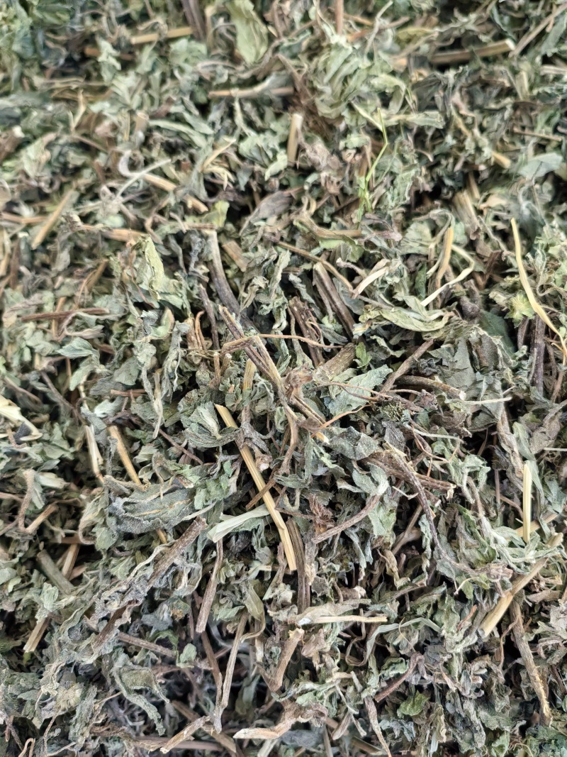 旱莲草墨旱莲产地直销一手货源量大从优