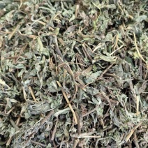 旱莲草墨旱莲产地直销一手货源量大从优