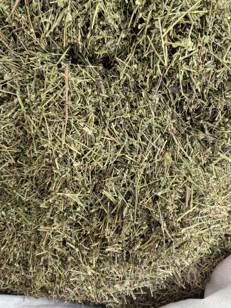 半枝莲切段支持线上交易量大从优