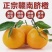 赣南脐橙安远果园直发招代理水果店商超供货