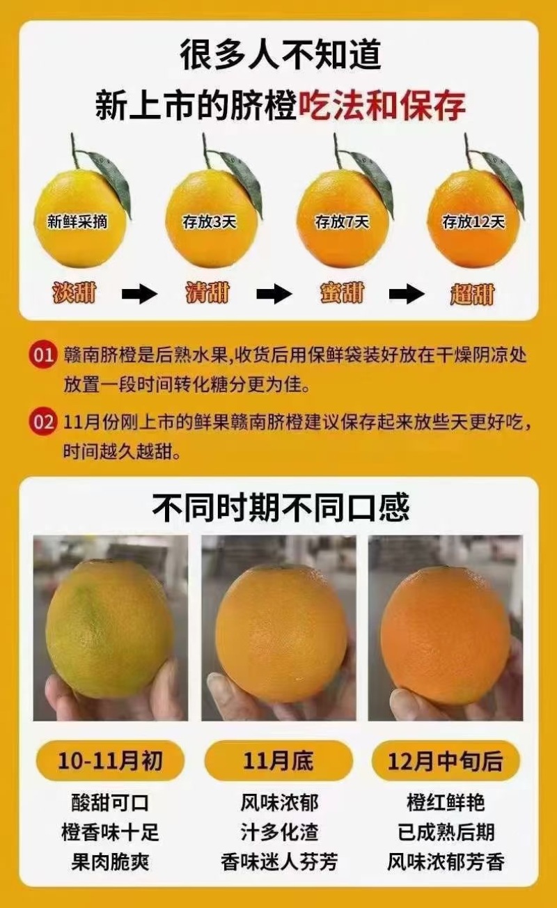 赣南脐橙安远果园直发招代理水果店商超供货