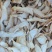 杏鲍菇片干货净重煲汤食材食用菌农家烘干新鲜菌菇