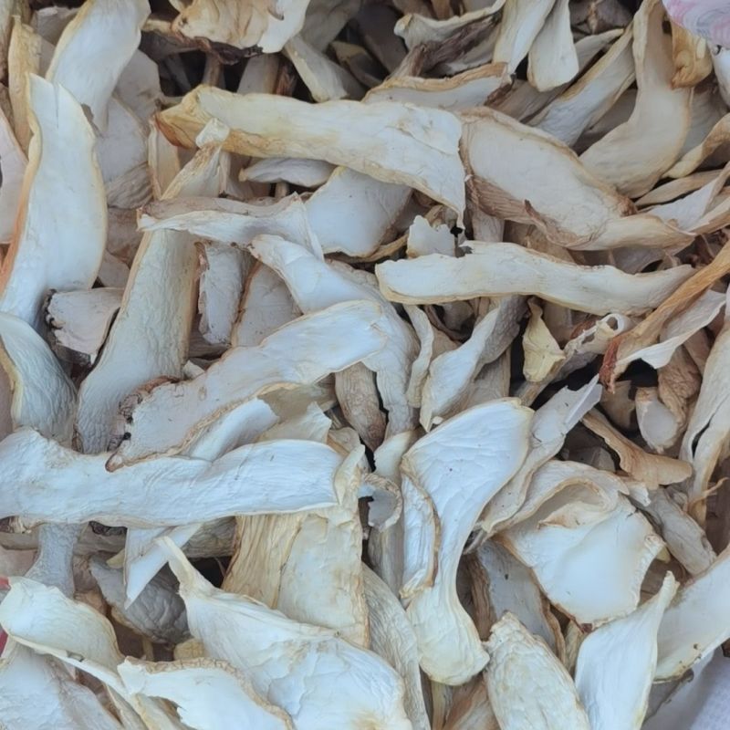 杏鲍菇片干货净重煲汤食材食用菌农家烘干新鲜菌菇