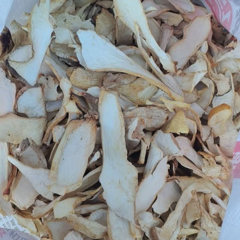 杏鲍菇片干货净重煲汤食材食用菌农家烘干新鲜菌菇
