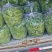 面条菜，草，大叶面条菜，小叶面条菜，野菜
